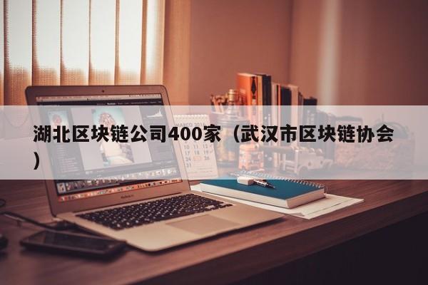 湖北区块链公司400家（武汉市区块链协会）