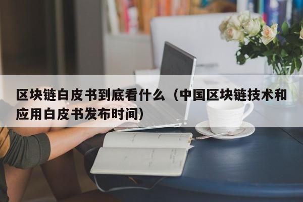 区块链白皮书到底看什么（中国区块链技术和应用白皮书发布时间）