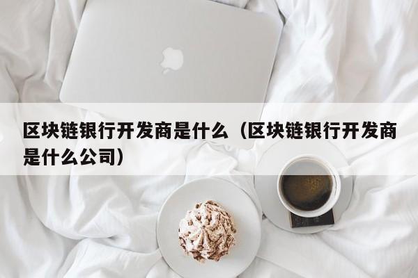 区块链银行开发商是什么（区块链银行开发商是什么公司）