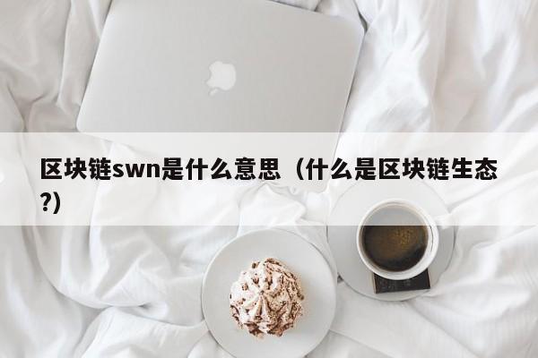 区块链swn是什么意思（什么是区块链生态?）