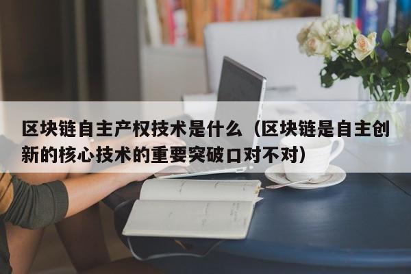 区块链自主产权技术是什么（区块链是自主创新的核心技术的重要突破口对不对）