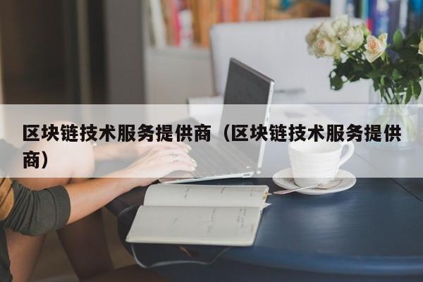 区块链技术服务提供商（区块链技术服务提供商）