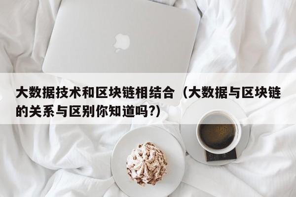 大数据技术和区块链相结合（大数据与区块链的关系与区别你知道吗?）