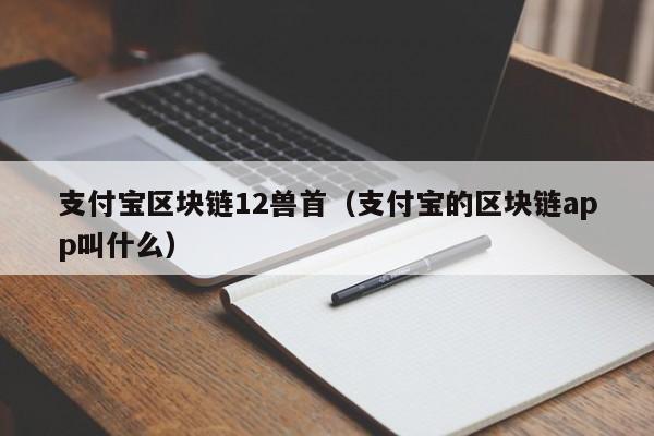 支付宝区块链12兽首（支付宝的区块链app叫什么）