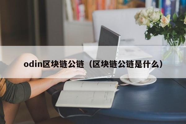 odin区块链公链（区块链公链是什么）