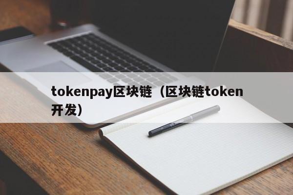 tokenpay区块链（区块链token开发）